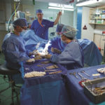 Mercy Ships Organization